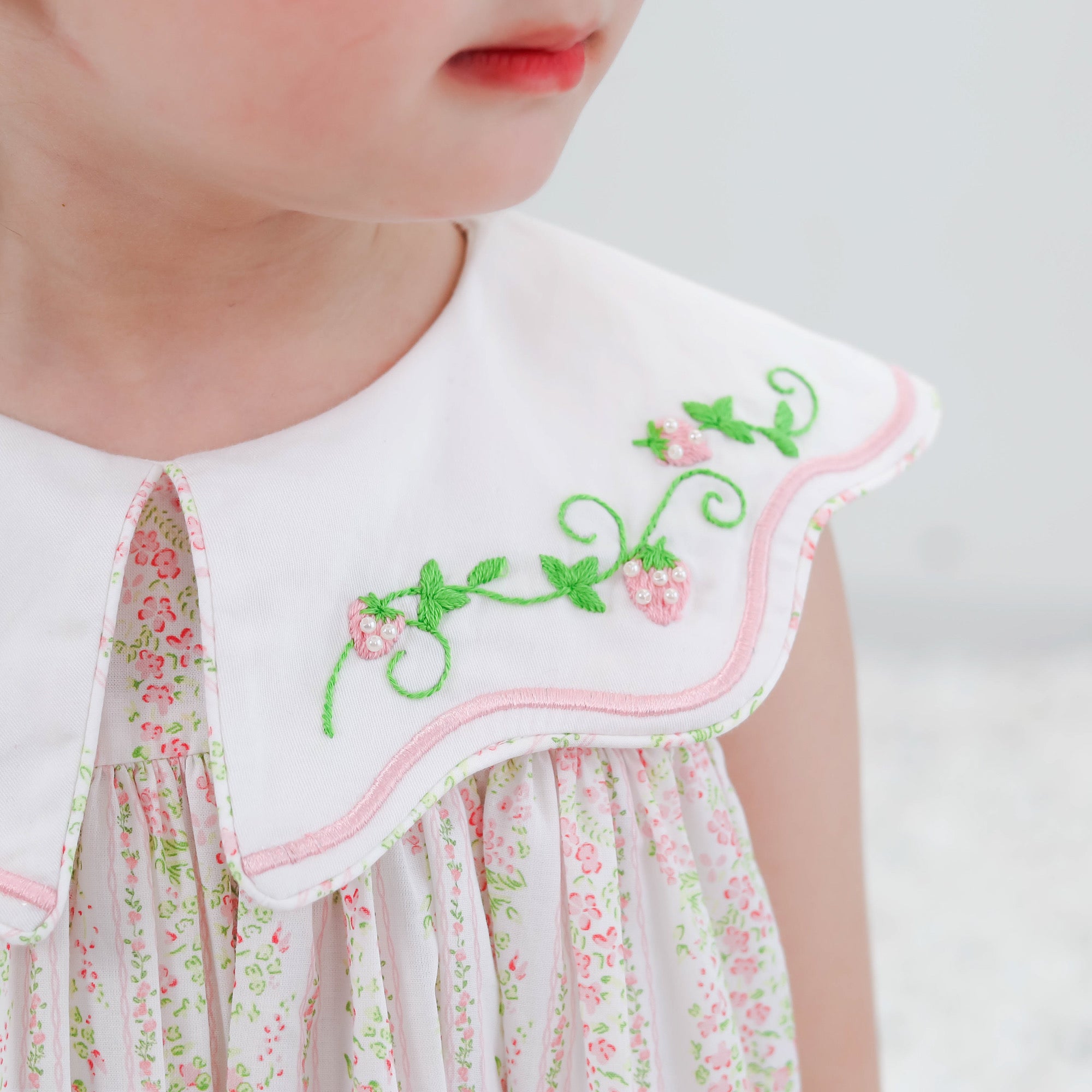 Strawberry Patch Embroidered Collar Dress