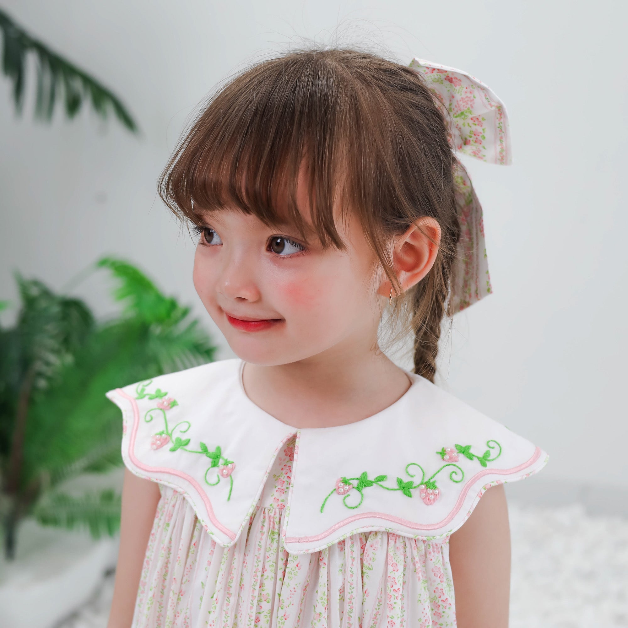 Strawberry Patch Embroidered Collar Dress